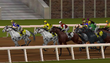 Newturf virtual racecourse